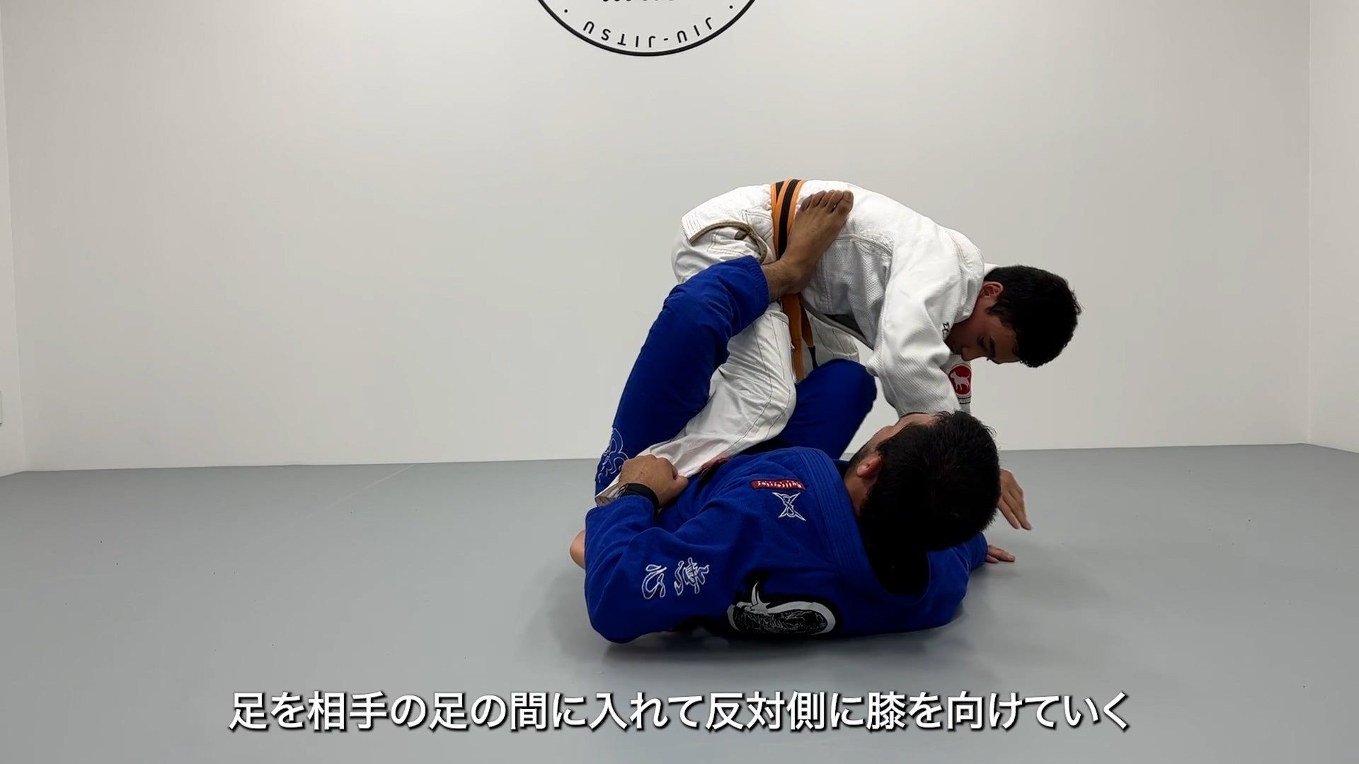 【セット販売】『ワンレッグXの入門書』+『ワンレッグXセミナー』/ジエゴ・エンリケ