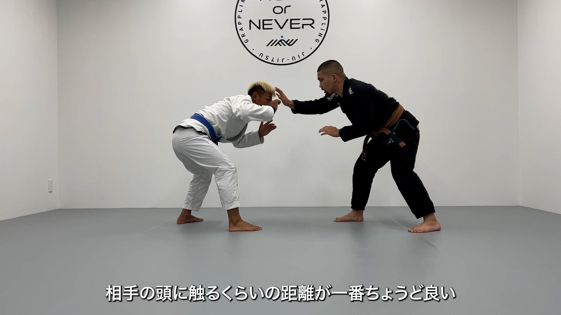 Takedown Encyclopedia for BJJ by Danilo Hamazaki