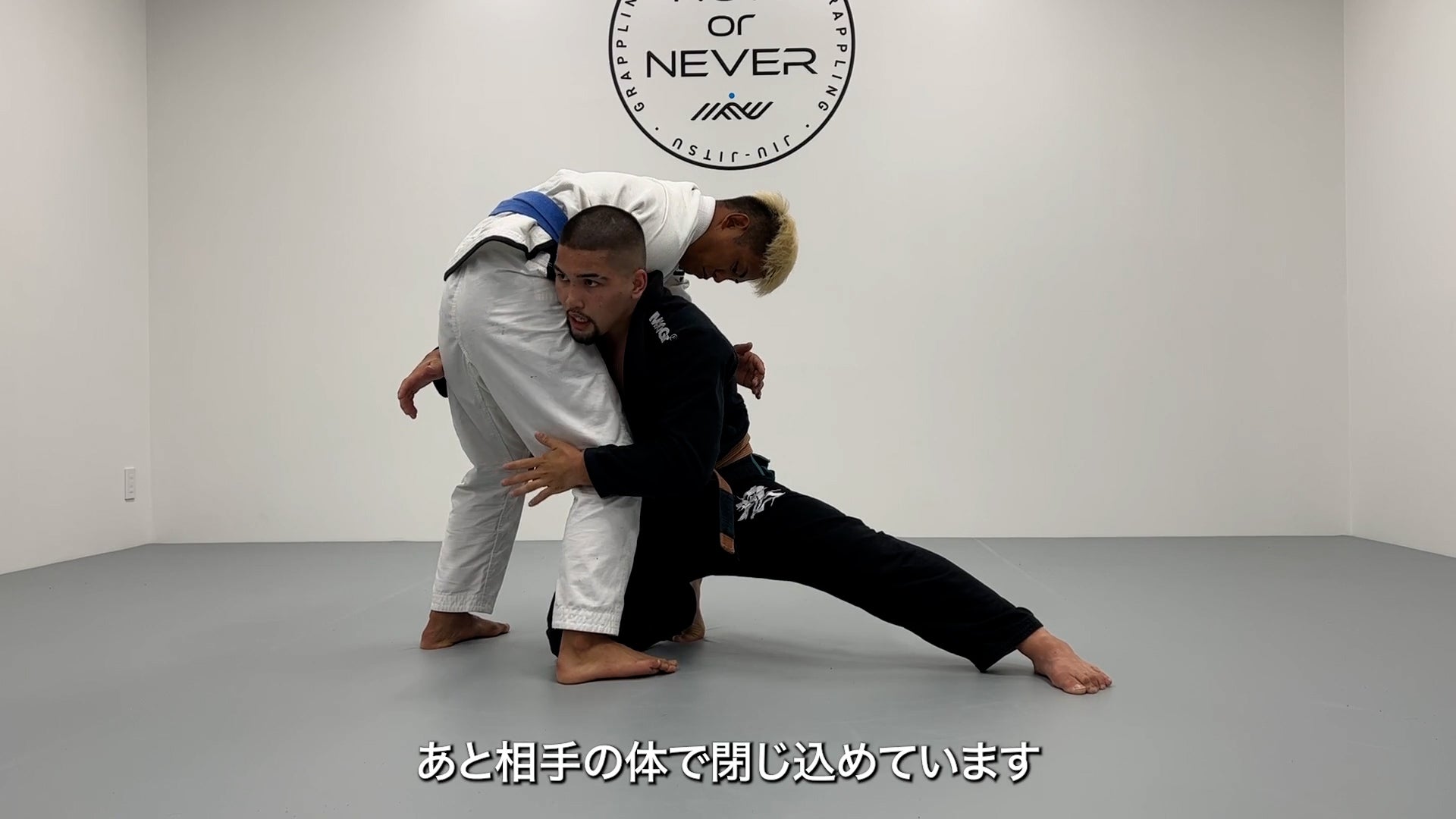 Takedown Encyclopedia for BJJ by Danilo Hamazaki