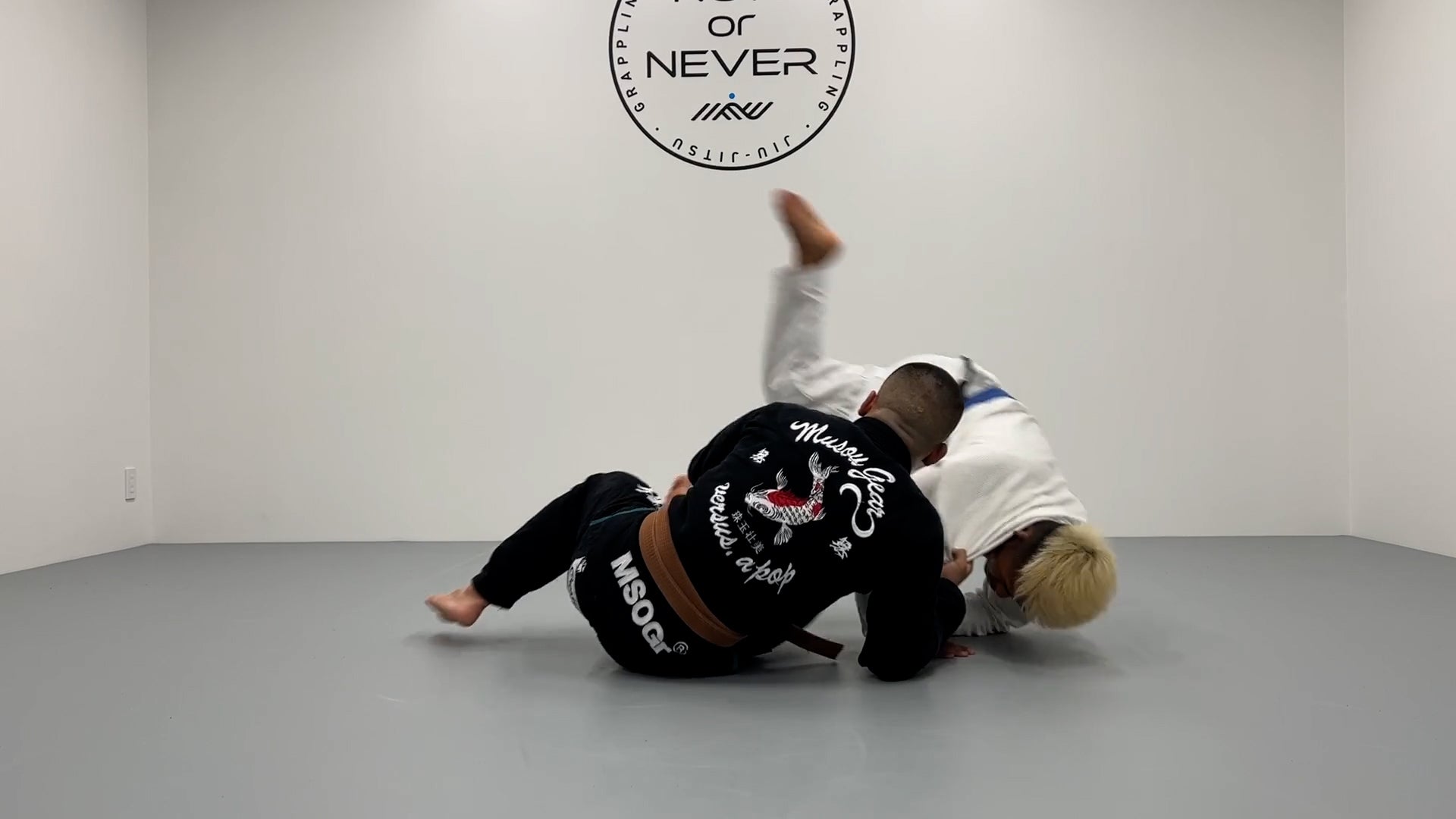 Takedown Encyclopedia for BJJ by Danilo Hamazaki
