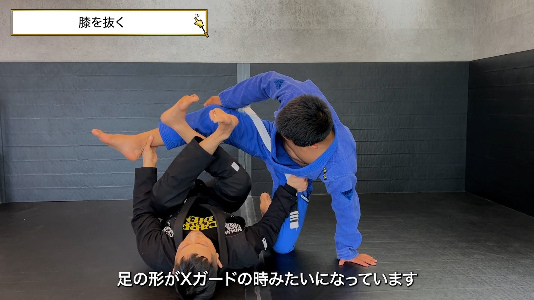 【セット販売】橋本知之式デラヒーバセット|橋本知之