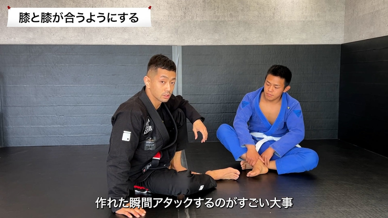 【セット販売】橋本知之式デラヒーバセット|橋本知之