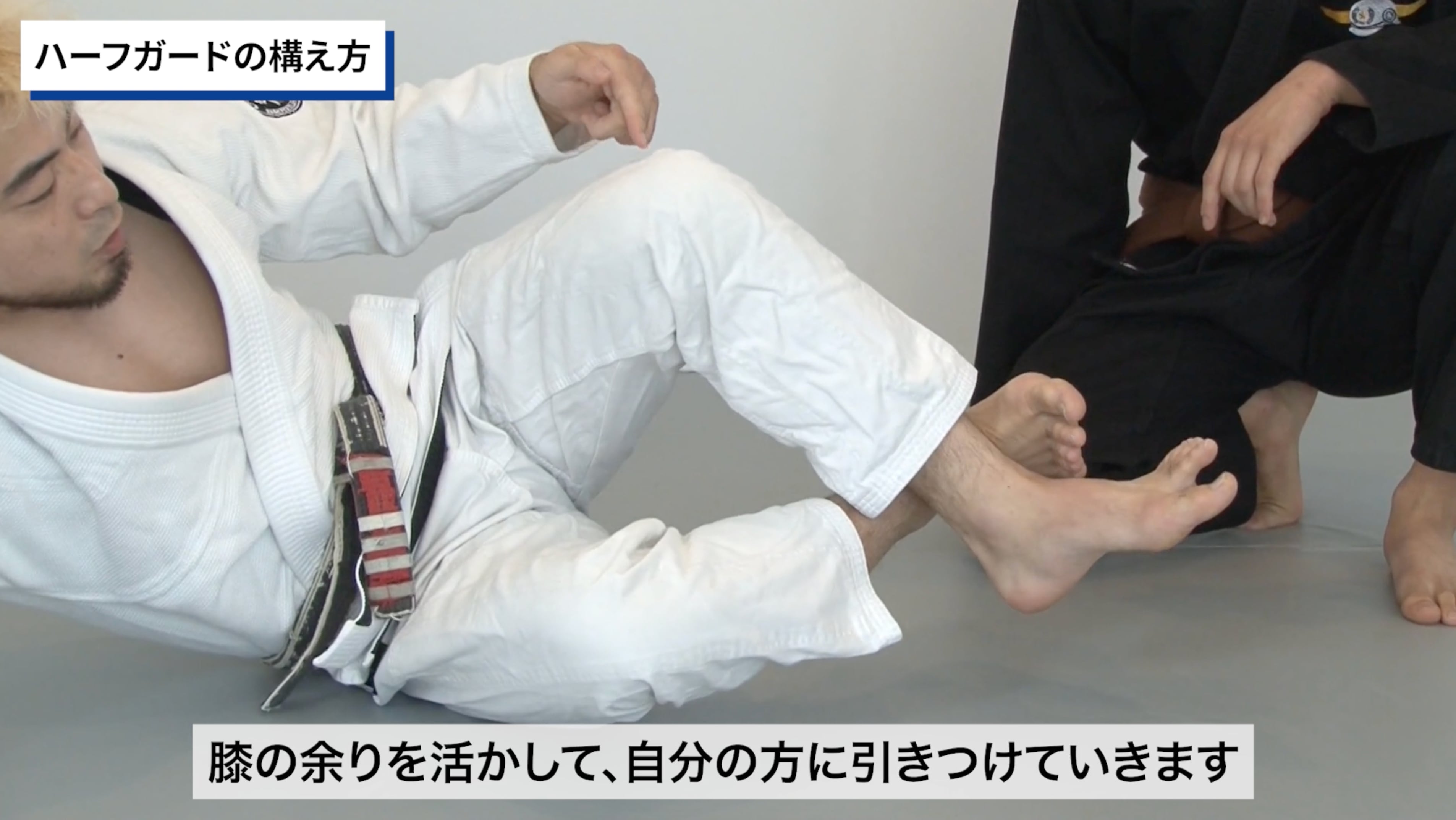 【セット販売】『ハーフガードの原理原則』+『ディープハーフ表裏』/岩崎正寛