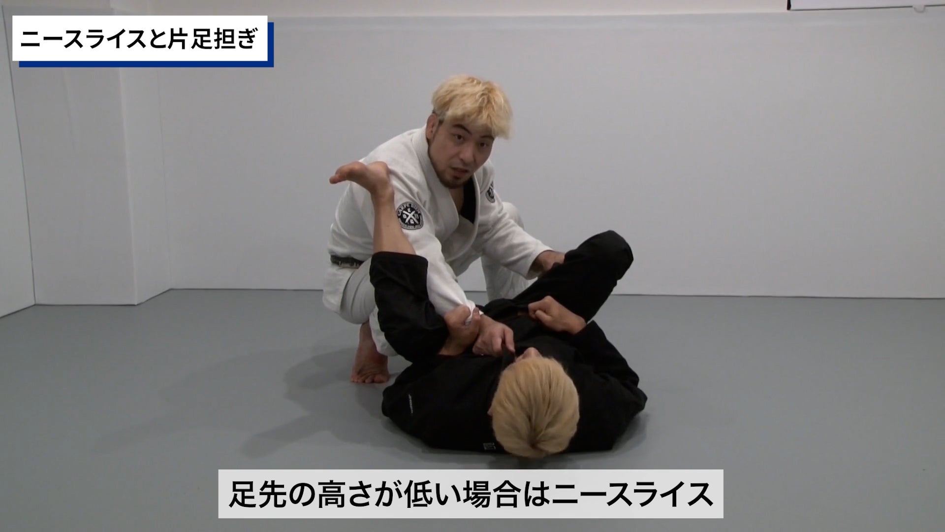 【セット販売】鉄壁のインサイドガード&ハーフガードパス完全攻略法|岩崎正寛