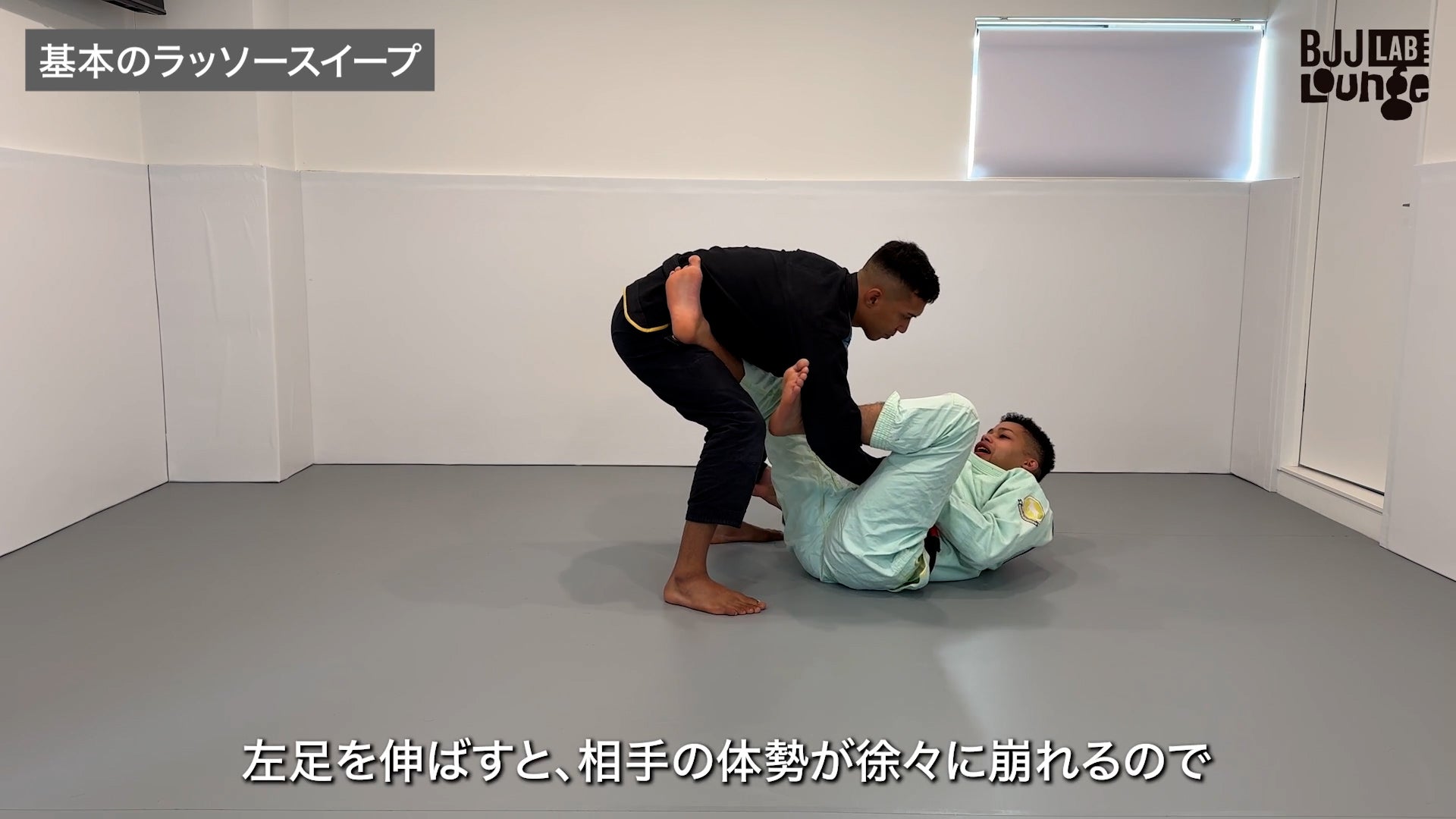 ラッソーガードマニュアル |大浦マイケ