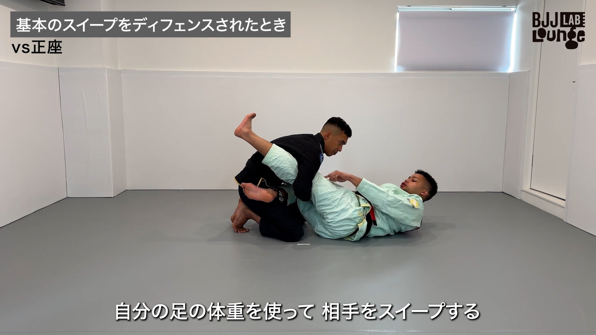 ラッソーガードマニュアル |大浦マイケ
