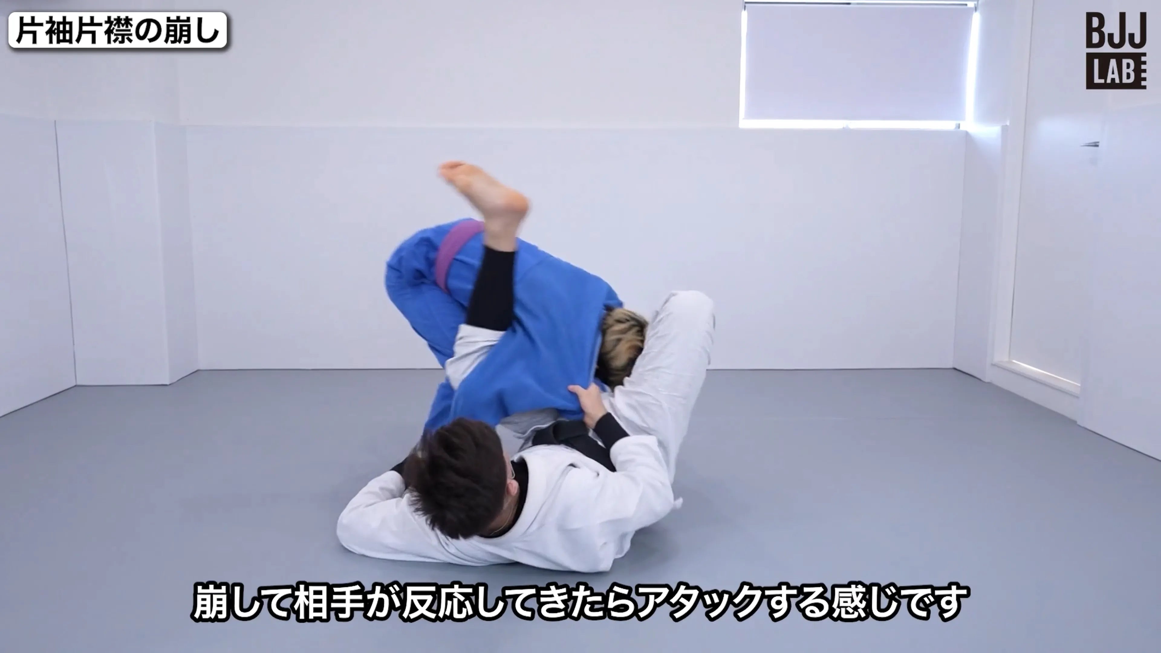 ガードリテンションシステム ベーシック|グスタボ・オガワ