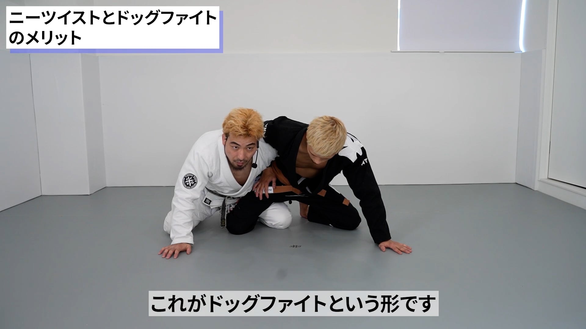 【セット販売】ハーフガードの原理原則&スクランブル攻略/岩崎正寛