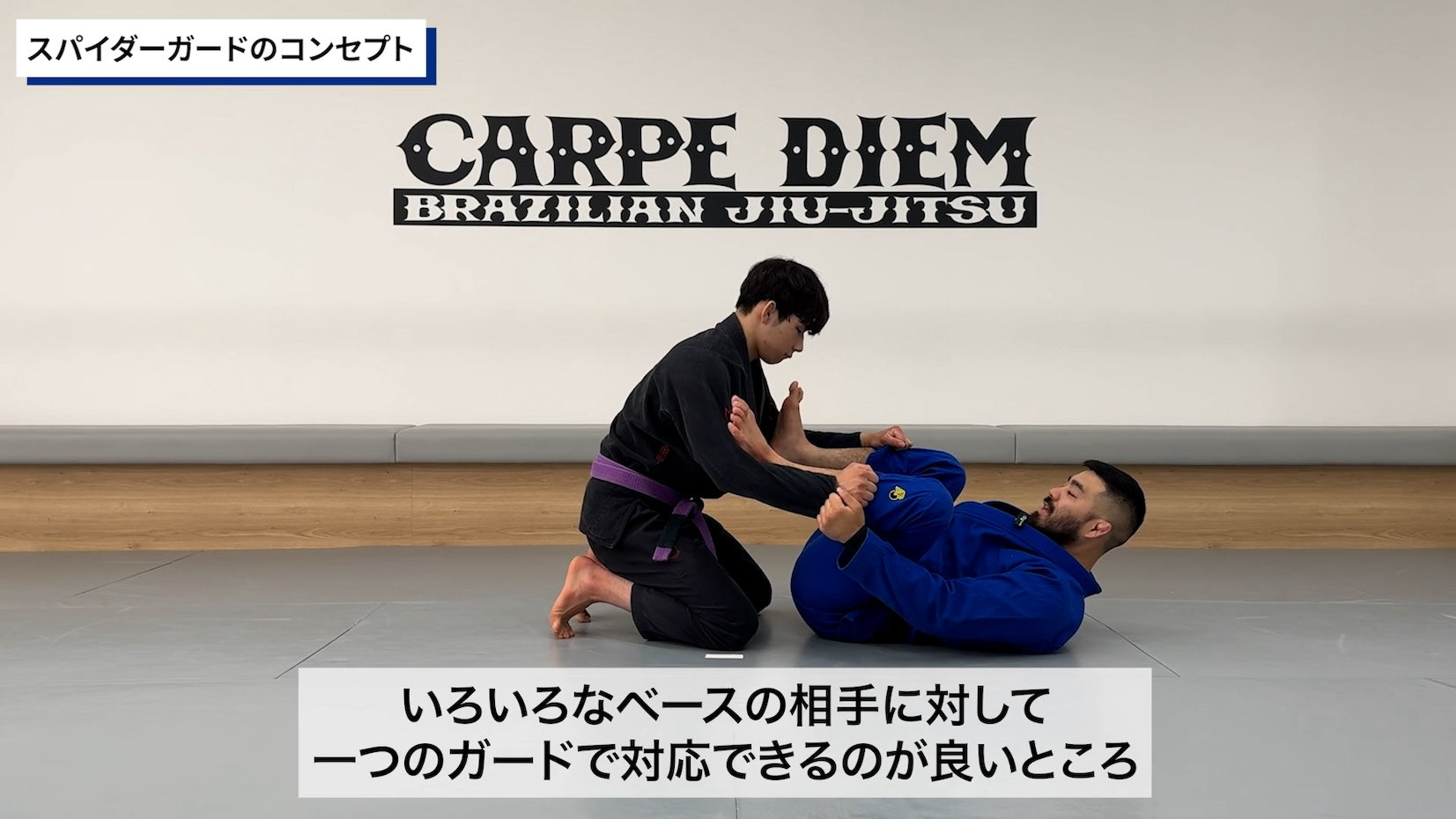 コンプリート・スパイダーガードセット|渡辺和樹