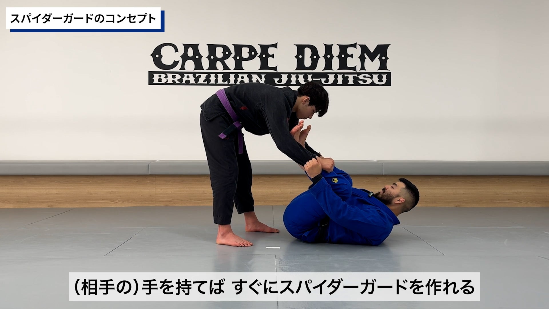 コンプリート・スパイダーガードセット|渡辺和樹