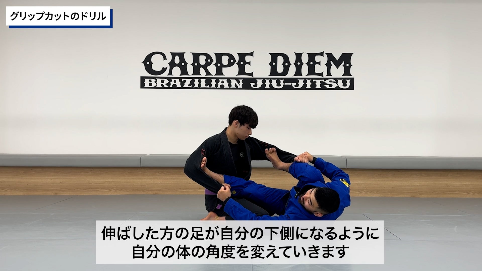 コンプリート・スパイダーガードセット|渡辺和樹