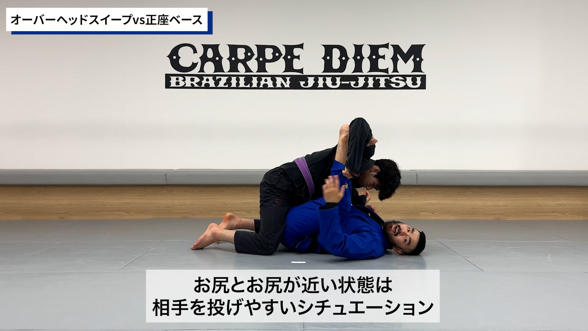 コンプリート・スパイダーガードセット|渡辺和樹