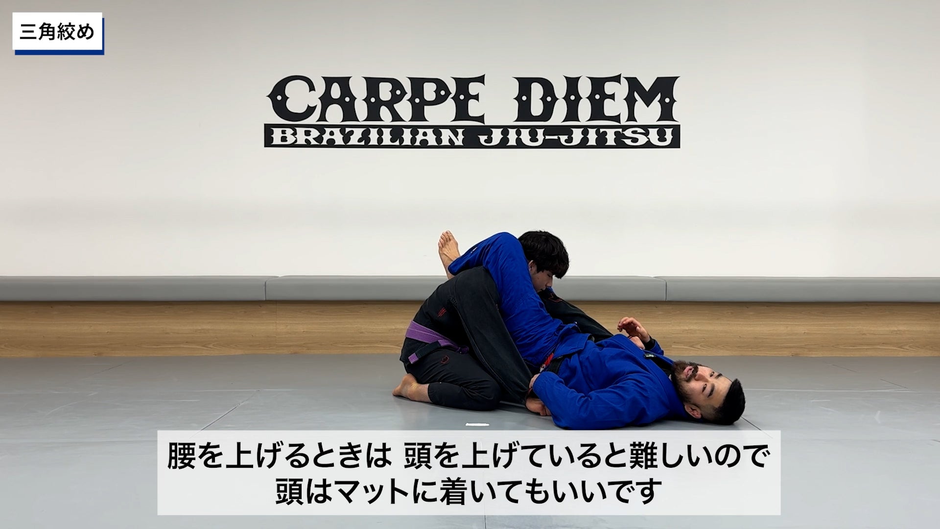 コンプリート・スパイダーガードセット|渡辺和樹