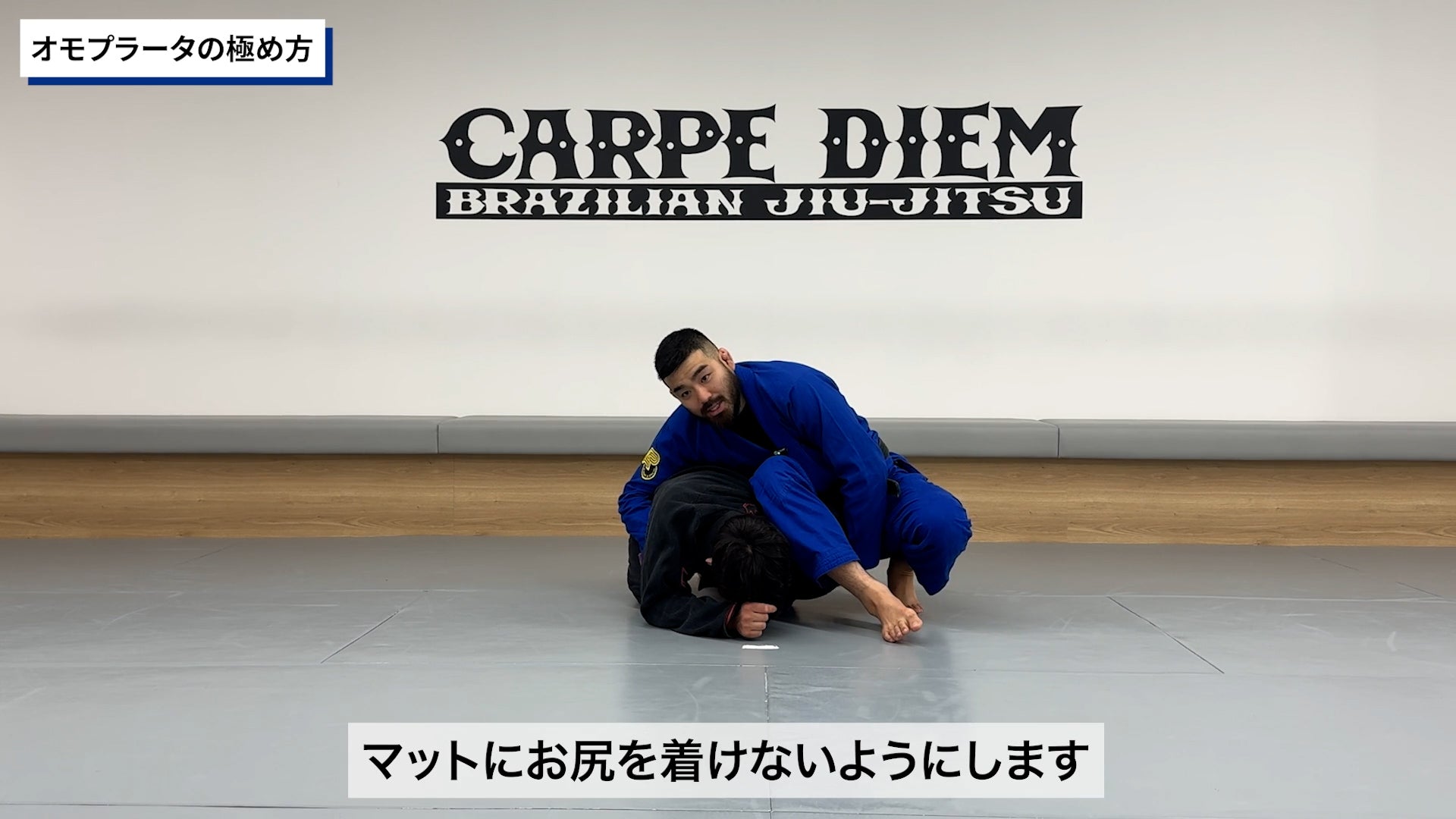 コンプリート・スパイダーガードセット|渡辺和樹