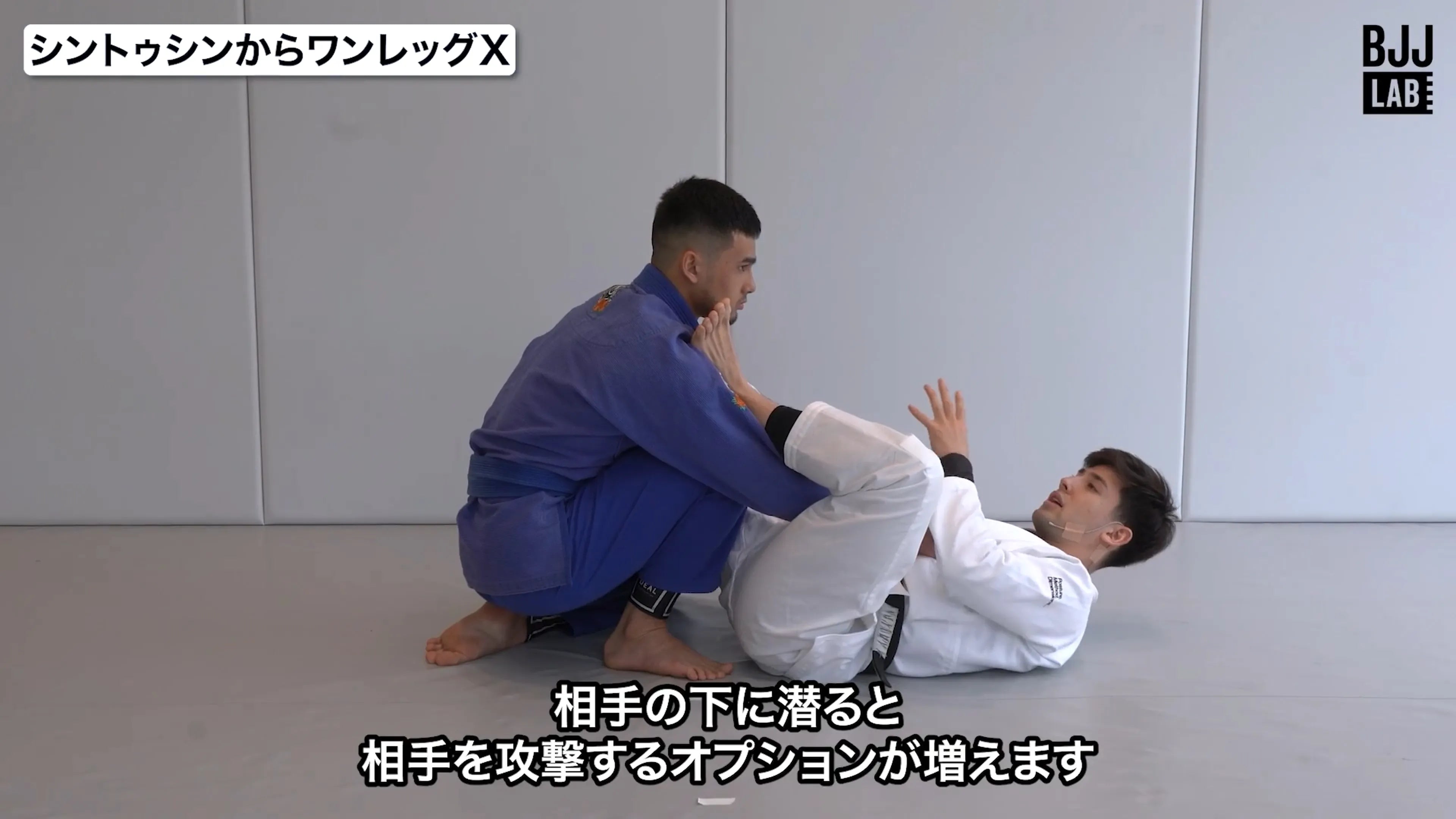 アンダーガードシステム-崩しとコントロール-|グスタボ・オガワ