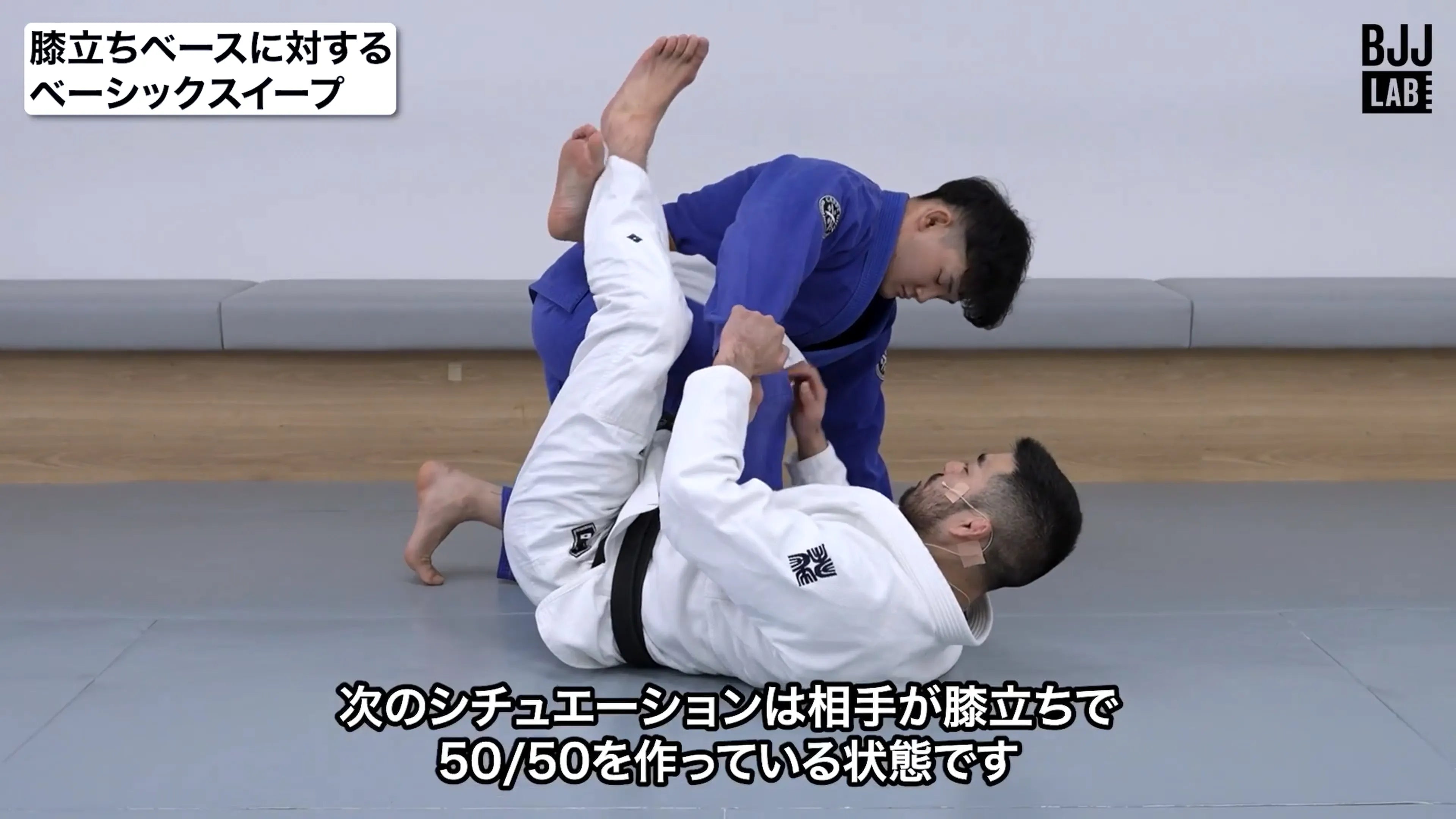 【セット販売】50/50システム-コンプリートセット-｜渡辺和樹