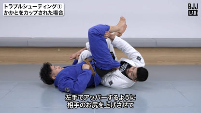 50/50システム Vol.3 -トップ-｜渡辺和樹