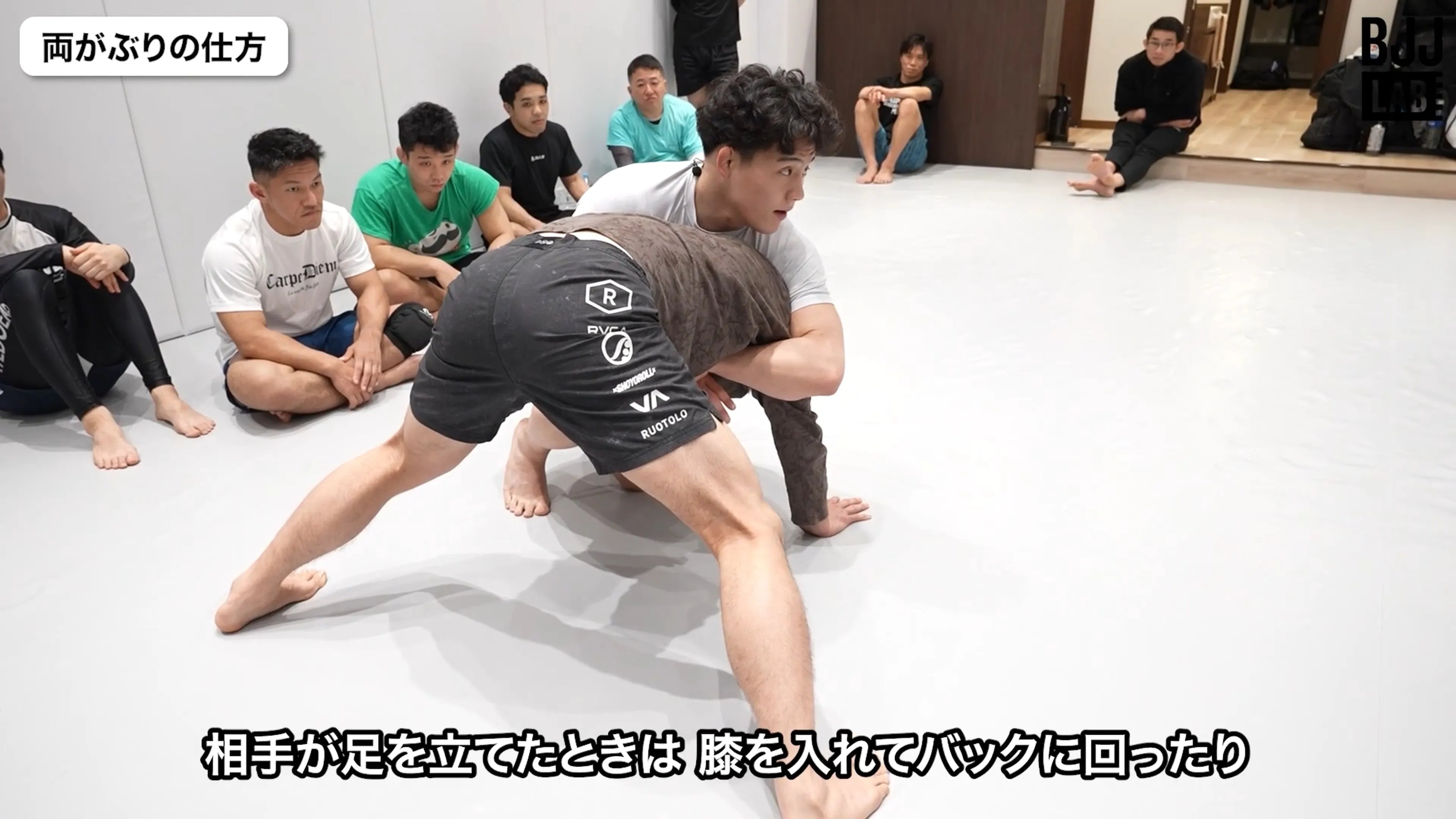 がぶりのコントロール｜安楽龍馬