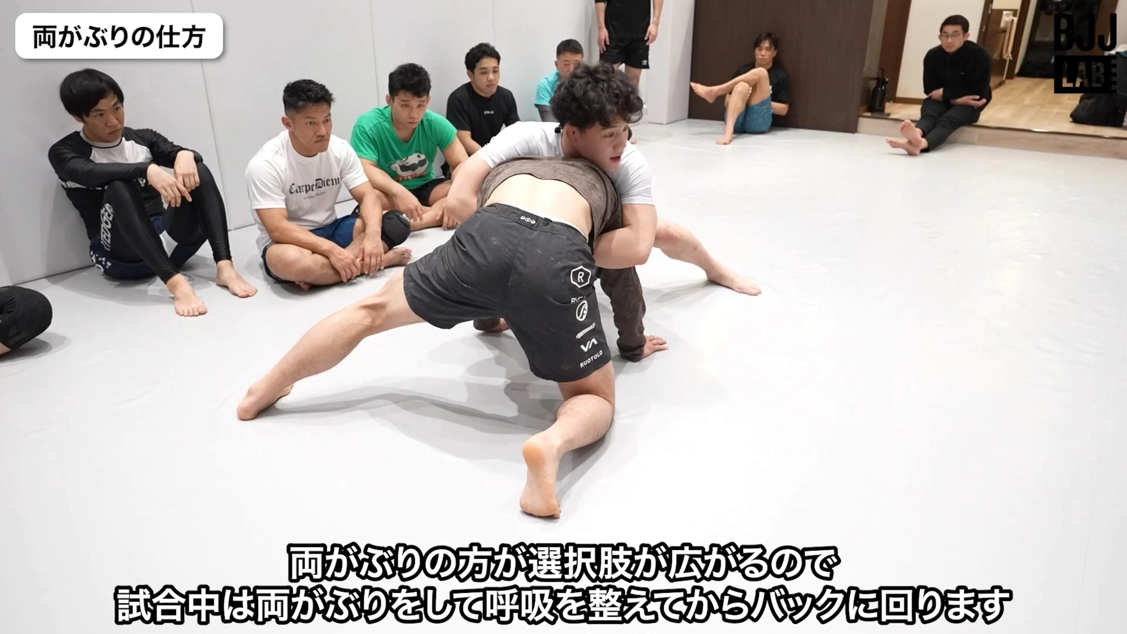 がぶりのコントロール｜安楽龍馬