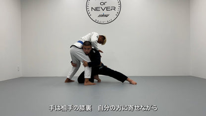 テイクダウンの教科書 for BJJ/ダニロ浜崎