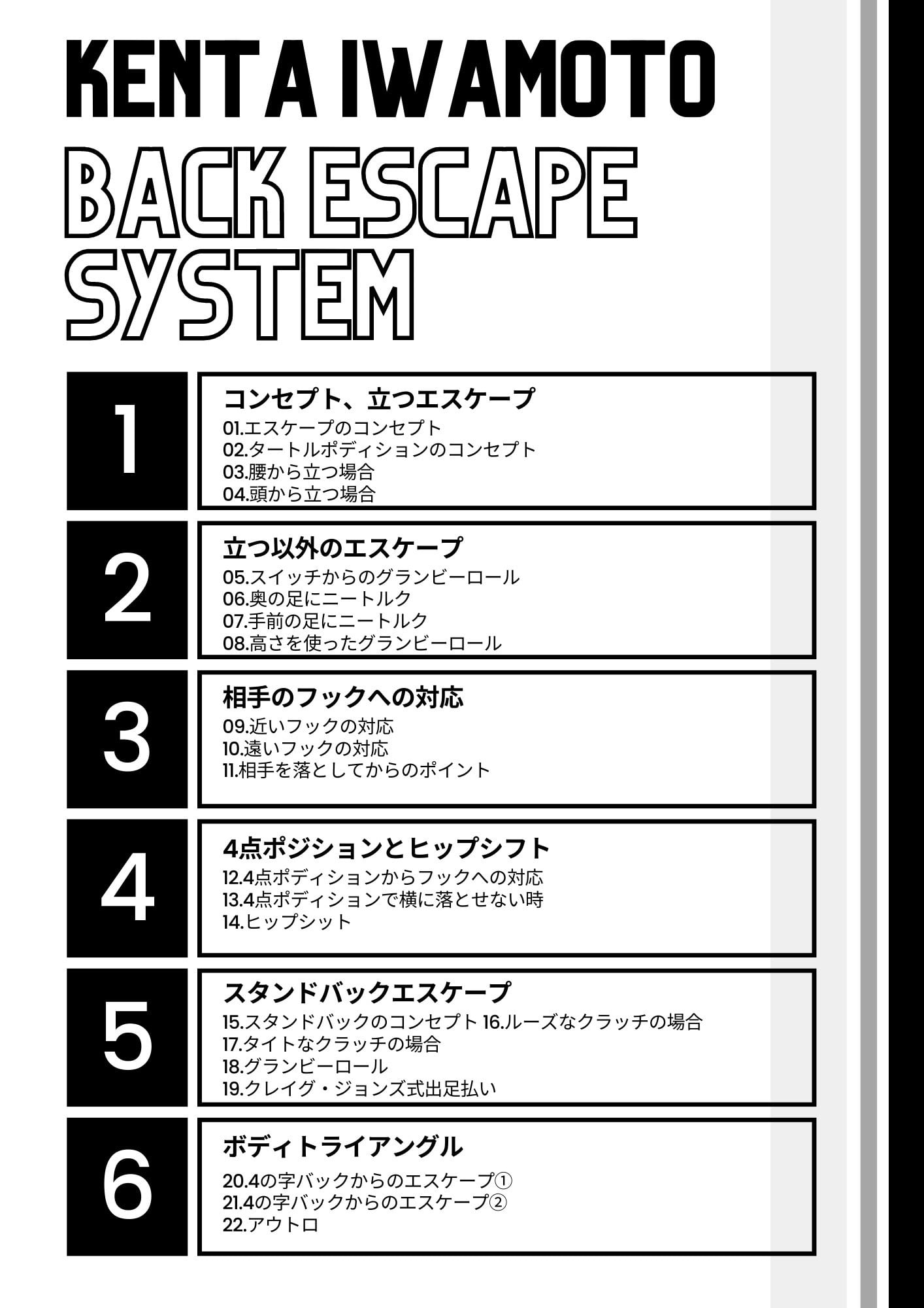 バックエスケープシステム/岩本健汰