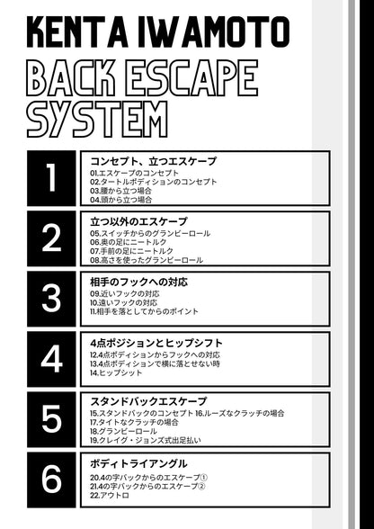 バックエスケープシステム/岩本健汰