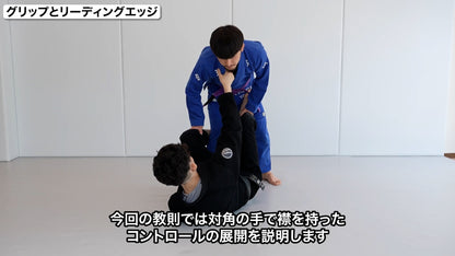 デラヒーバ再構築 / 大柳敬人