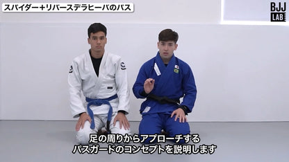 レッグドミネーションパッシング｜グスタボ・オガワ