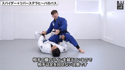 レッグドミネーションパッシング｜グスタボ・オガワ